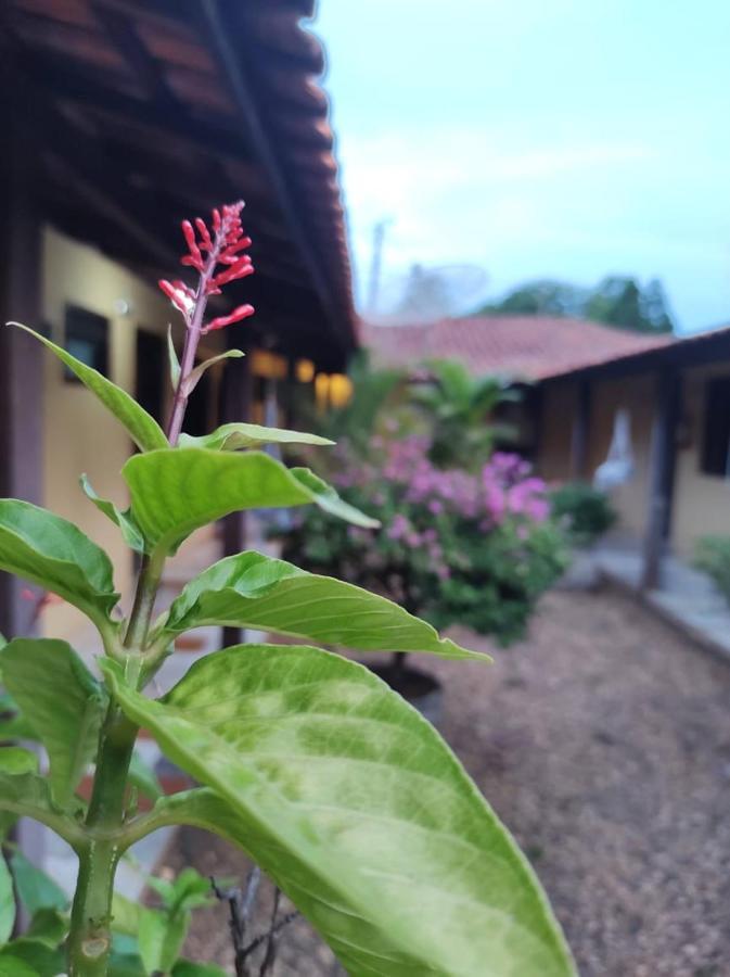 Pousada Boa Vista 브로타스 외부 사진